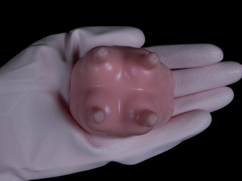 Squishy Udder