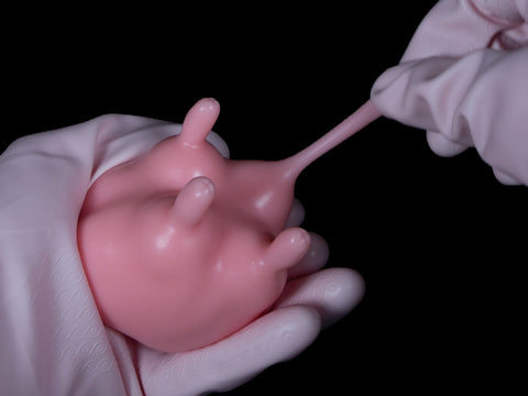 Squishy Udder
