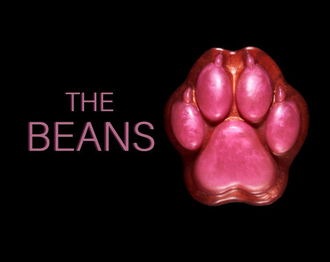The Beans - Squishy Silicone Squishy Fidget Desk Toy Paw - Thumbnail